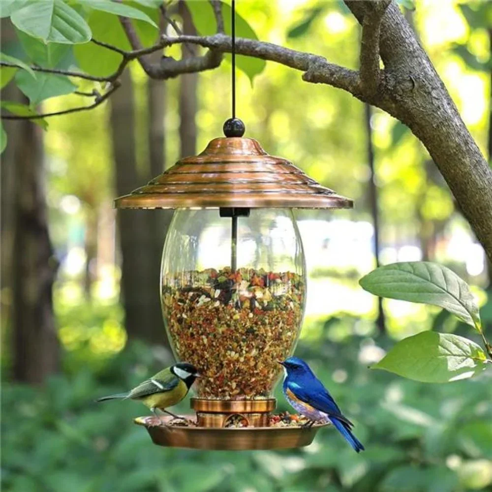 Bird Feeder, Wild Bird Feeders for Outside,Metal and Glass Bird Feeder
